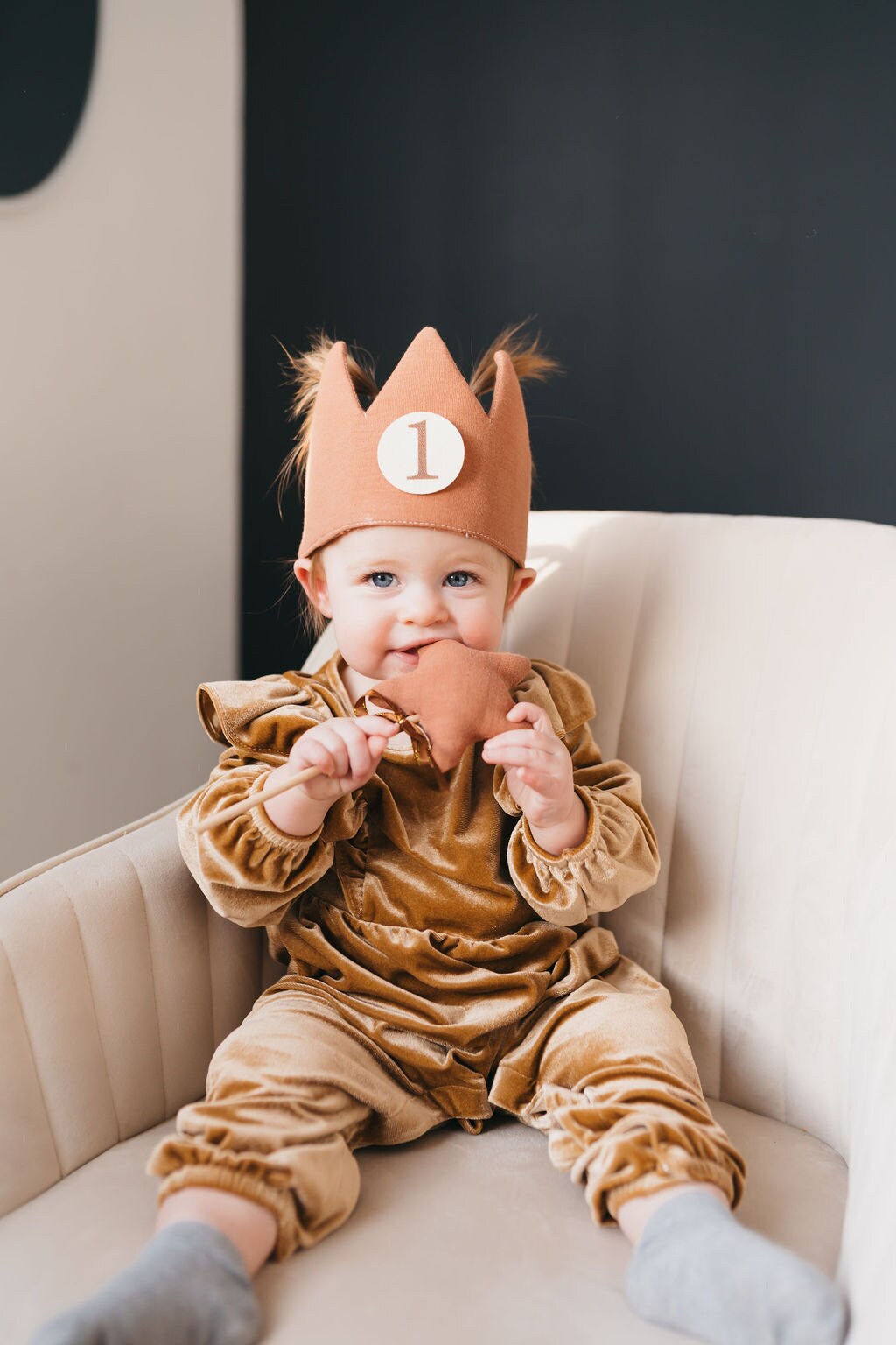 1st Birthday Decor Bundle High Chair Banner First Birthday Personalized Crown Kids Birthday Wand First Birthday Party Bundle Decorations